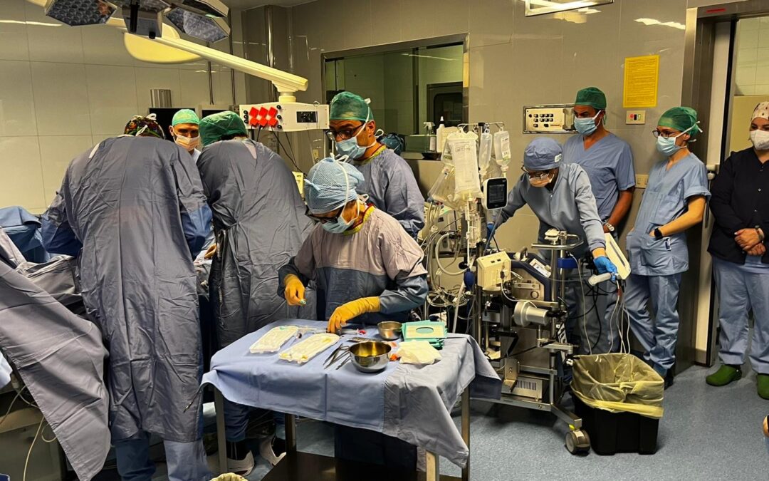 Successo storico a Lugo: donazione di organi a cuore fermo salva una vita